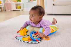 Fisher-Price Baby Brinquedo para Bebês FP Almofada Colorida