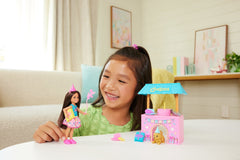 Barbie Coffret Suprise D’Anniversaire Club Chelsea et Accessoires