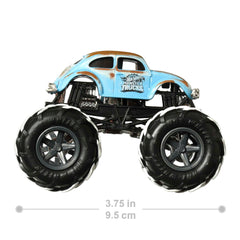 Hot Wheels Monster Trucks 1:64 Scale Die-Cast Truck