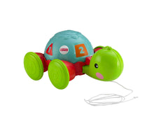 Fisher-Price Brinquedo para Bebês Empurra Tartatuga