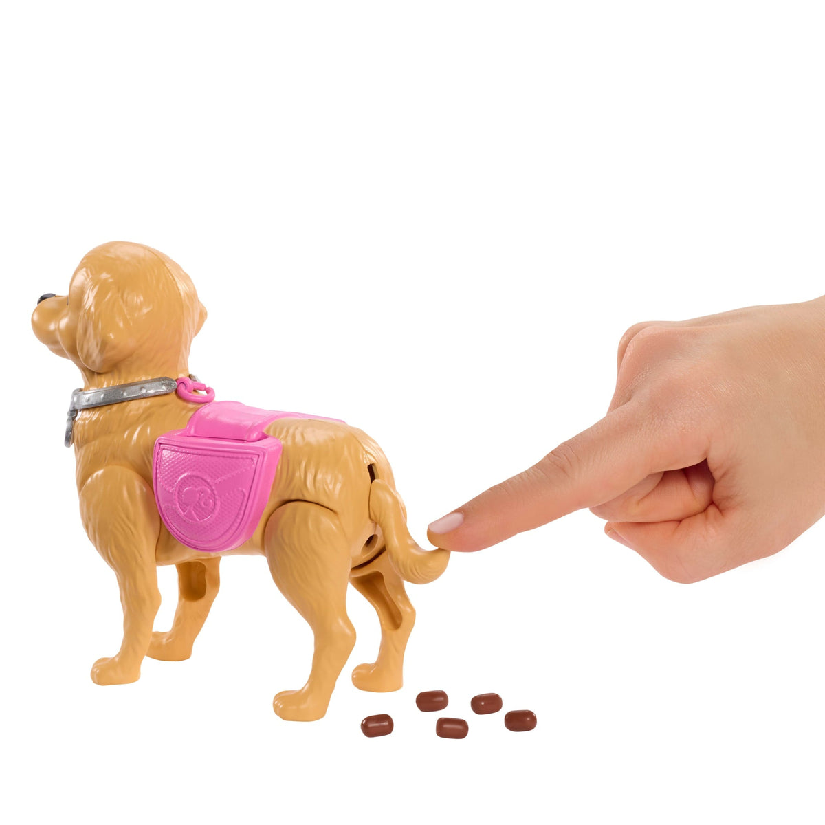 Barbie Coffret “Malibu” et Son Chiot Promenade et Besoins