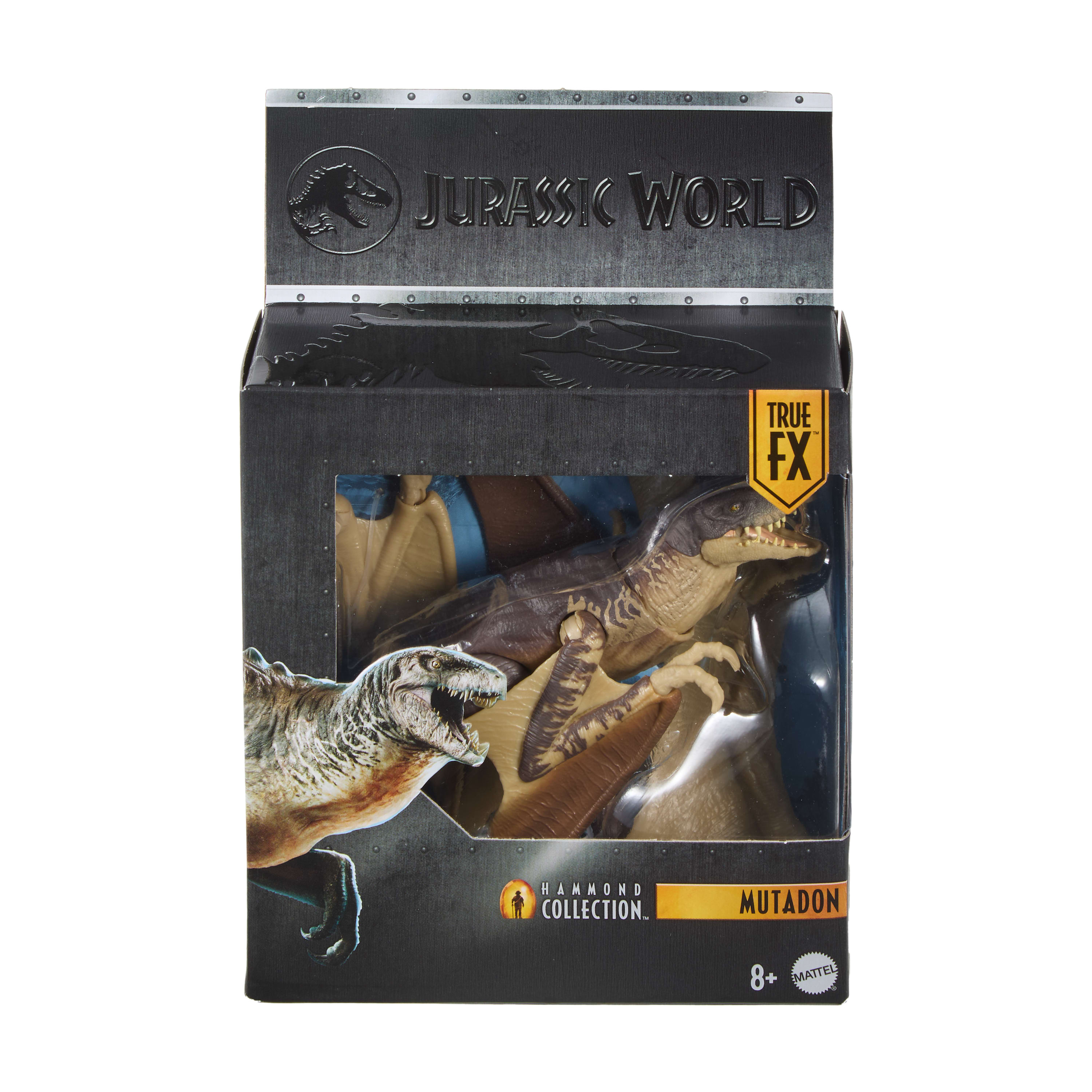 Jurassic World Hammond Collection Mutadon Dinosaur Figure, Deluxe Design And Articulation