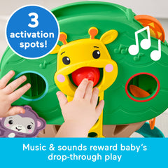 Fisher-Price Sit-To-Stand Jungle Tree, Baby To Toddler Musical Ball Drop Play Center, 6 Balls