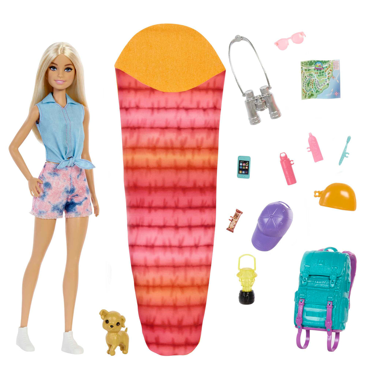 Barbie Doll And Accessories