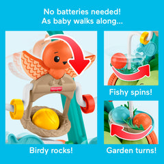Fisher-Price Moves With You Turtle Walker, Baby & Toddler Activity Push Toy, 5 Balls