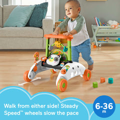 Fisher-Price 2-Sided Steady Speed Panda Walker