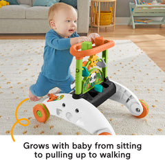 Fisher-Price 2-Sided Steady Speed Panda Walker